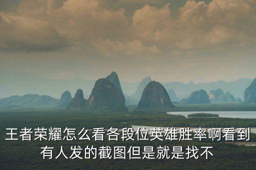 王者荣耀怎么看各段位英雄胜率啊看到有人发的截图但是就是找不