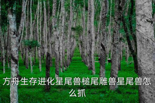 方舟生存进化星尾兽槌尾雕兽星尾兽怎么抓