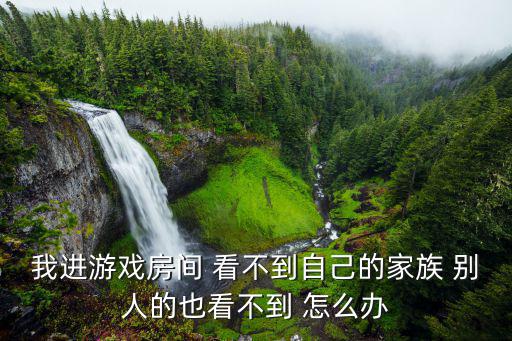 我进游戏房间 看不到自己的家族 别人的也看不到 怎么办