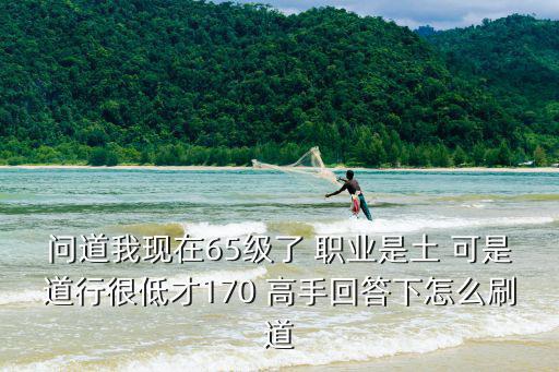 问道我现在65级了 职业是土 可是道行很低才170 高手回答下怎么刷道