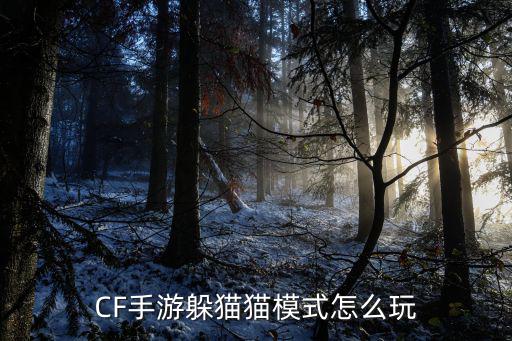 CF手游躲猫猫模式怎么玩