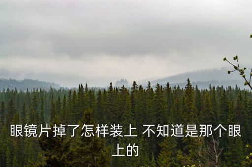 cf手游那个眼镜是怎么装上去，眼镜片掉了怎样装上 不知道是那个眼上的