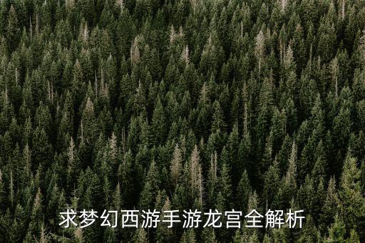 求梦幻西游手游龙宫全解析
