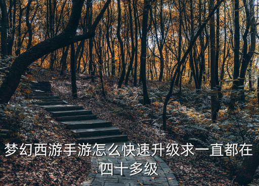 梦幻手游活动怎么升级快，怎么能够更快的升级 梦幻西游手游