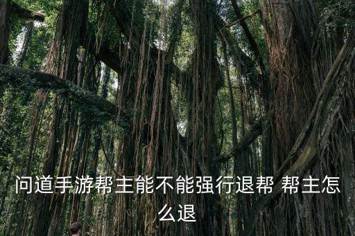 问道手游帮主能不能强行退帮 帮主怎么退