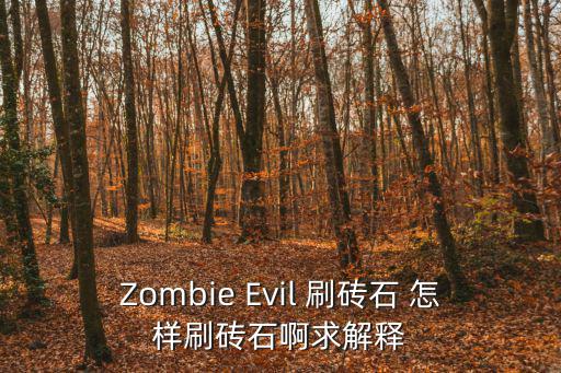 Zombie Evil 刷砖石 怎样刷砖石啊求解释