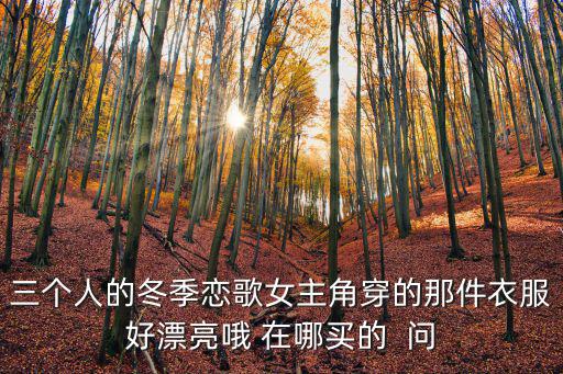 三个人的冬季恋歌女主角穿的那件衣服好漂亮哦 在哪买的  问