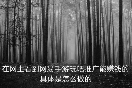 在网上看到网易手游玩吧推广能赚钱的具体是怎么做的