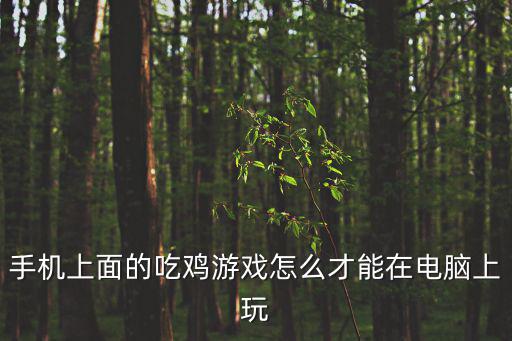 手机上面的吃鸡游戏怎么才能在电脑上玩