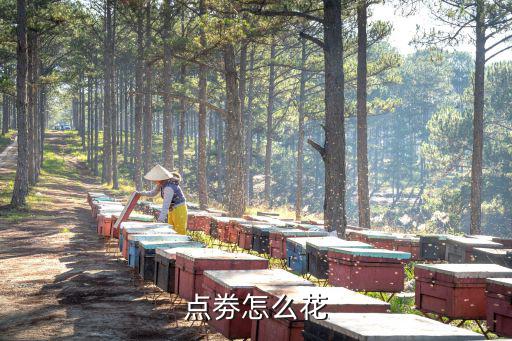 点劵怎么花