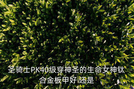 圣骑士PK40级穿神圣的生命女神钛合金板甲好 还是