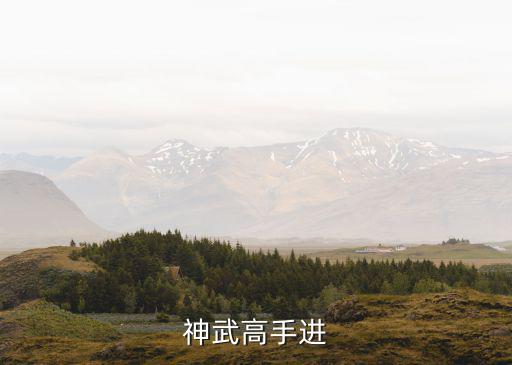 神武4手游帝火法怎么加点，神武高手进
