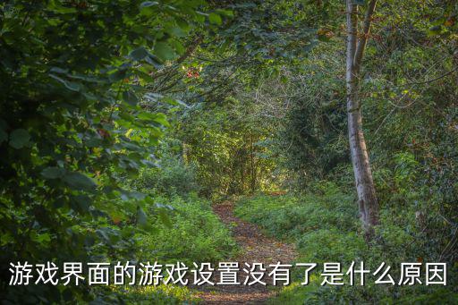 游戏界面的游戏设置没有了是什么原因