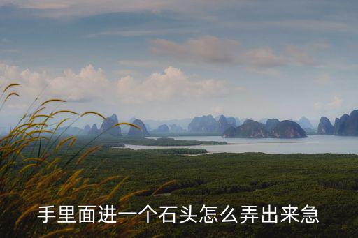 方舟手游卡进石头里怎么出来，方舟生存进化石头怎么弄 游戏中石头在哪获得