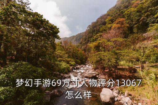梦幻手游69方寸人物评分13067怎么样