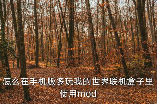 怎么在手机版多玩我的世界联机盒子里使用mod