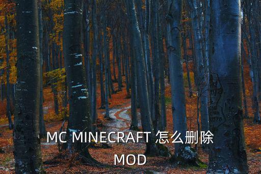 MC MINECRAFT 怎么删除MOD