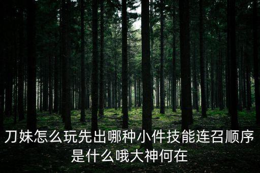 刀妹怎么玩先出哪种小件技能连召顺序是什么哦大神何在