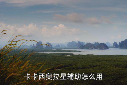 卡卡西奥拉星辅助怎么用