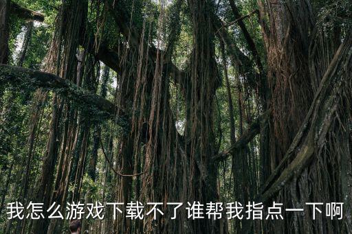 我怎么游戏下载不了谁帮我指点一下啊