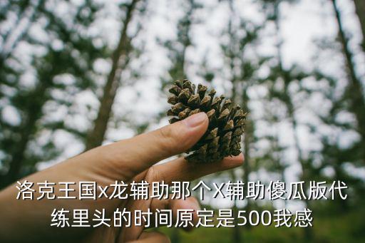 洛克王国x龙辅助那个X辅助傻瓜版代练里头的时间原定是500我感