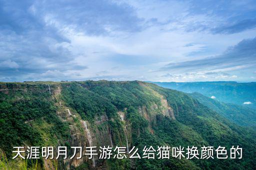 天涯明月刀手游怎么给猫咪换颜色的
