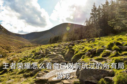 怎么看手游游戏记录，怎么查游戏的登录记录呀