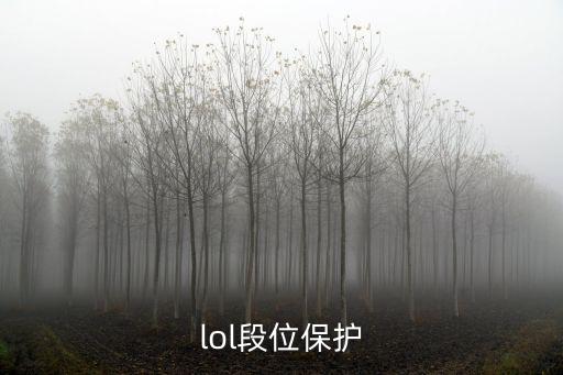 lol段位保护