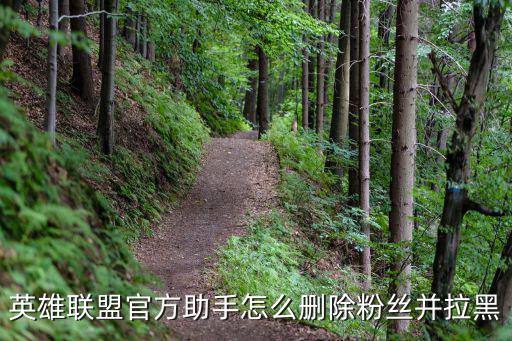 英雄联盟官方助手怎么删除粉丝并拉黑