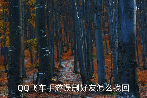 手游飞车怎么加回来被删好友，QQ飞车的好友删了怎么加回来呀