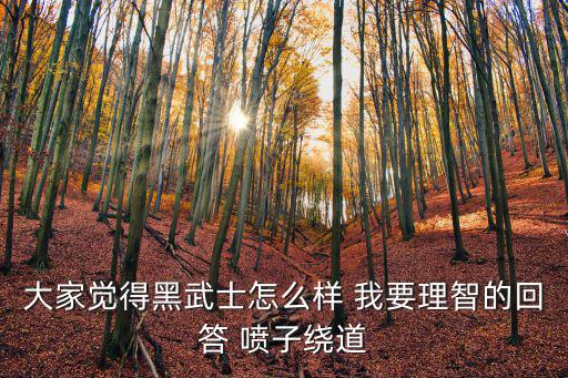 大家觉得黑武士怎么样 我要理智的回答 喷子绕道
