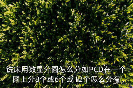 猫和老鼠手游鸟哨怎么上分，铣床用数显分圆怎么分如PCD在一个圆上分8个或6个或12个怎么分有