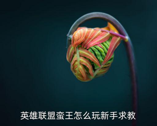 手游蛮王对线新英雄怎么玩，新手怎么样玩lol蛮王