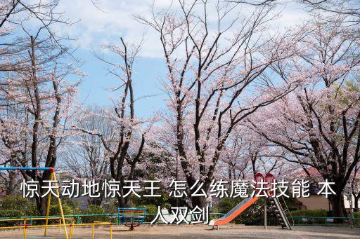 惊天动地惊天王 怎么练魔法技能 本人双剑
