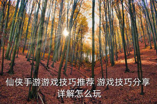 仙侠手游游戏技巧推荐 游戏技巧分享 详解怎么玩