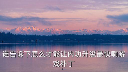 谁告诉下怎么才能让内功升级最快啊游戏补丁