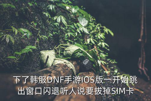 dnf手游韩服苹果没翻译怎么办，下了韩服DNF手游IOS版一开始跳出窗口闪退听人说要拔掉SIM卡