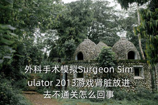 外科手术模拟Surgeon Simulator 2013游戏肾脏放进去不通关怎么回事