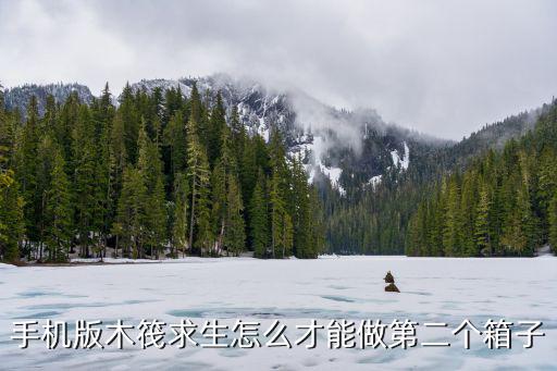 手机版木筏求生怎么才能做第二个箱子
