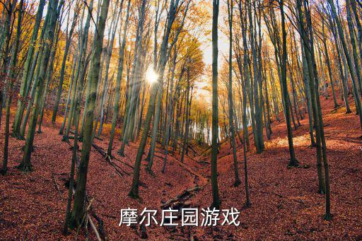 摩尔庄园游戏