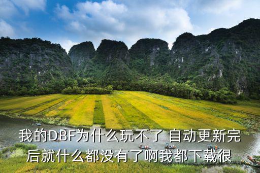 手游dbf怎么提前玩，我的DBF为什么玩不了 自动更新完后就什么都没有了啊我都下载很