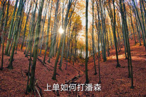 手游锤石怎么打潘森，上单如何打潘森