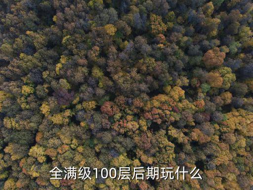 全满级100层后期玩什么