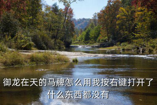 御龙在天的马牌怎么用我按右键打开了什么东西都没有