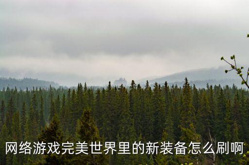 网络游戏完美世界里的新装备怎么刷啊