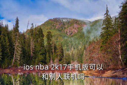 ios nba 2k17手机版可以和别人联机吗