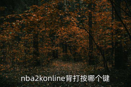 nba2konline背打按哪个键