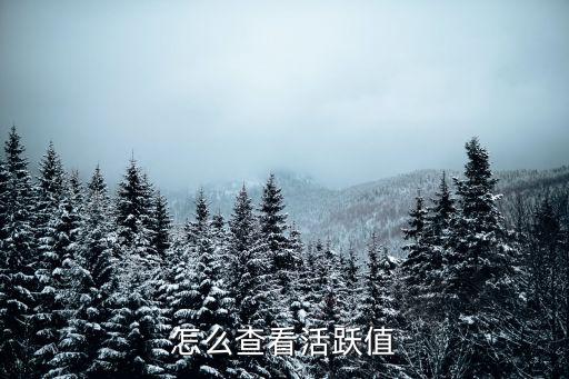 怎么查看活跃值