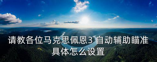 请教各位马克思佩恩3 自动辅助瞄准具体怎么设置