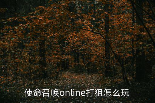 手游使命召唤狙击枪怎么玩，狙击枪怎么玩